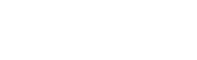 nano insight japan
